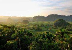 Single Vakantie Cuba
