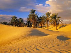 Hammamet