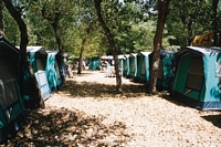 Camping Maximum